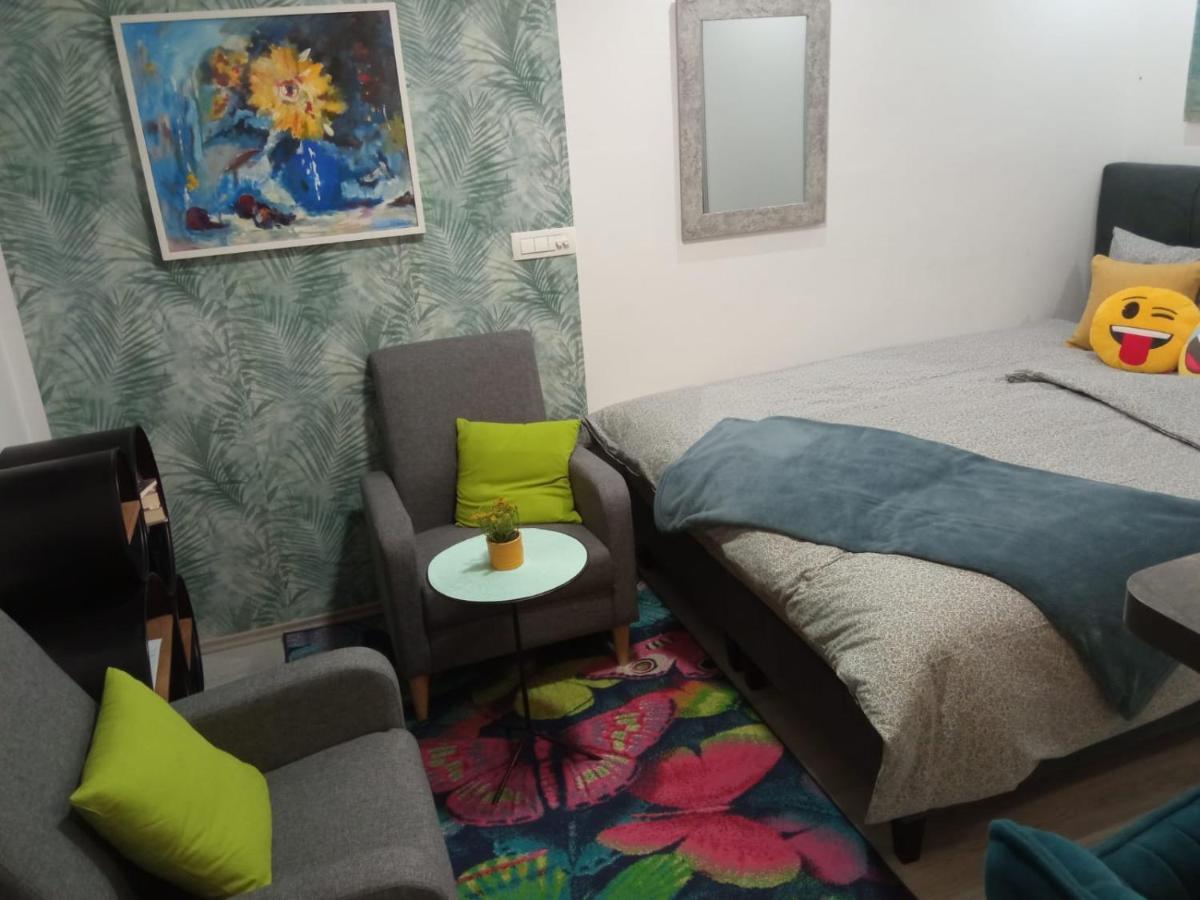 Little Lion Apartment